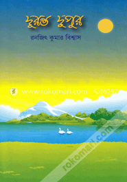 দুরন্ত দুপুর image