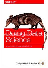 Doing Data Science image