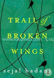 Trail of Broken Wings image