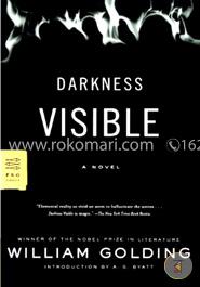 Darkness Visible: A Novel (FSG Classics) image