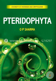 Pteridophyta image