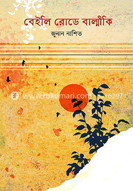 বেইলি রোডে বাল্মীকি image