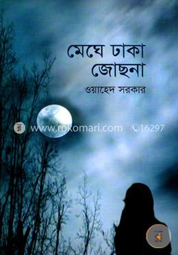 মেঘে ঢাকা জোছনা image