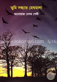 তুমি সন্ধ্যার মেঘমালা image