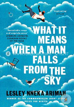 What It Means When A Man Falls From The Sky: The most acclaimed short story collection of the year image