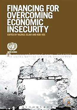 Development Financing and Economic Insecurity  image
