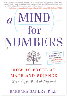 A Mind for Numbers image