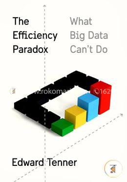The Efficiency Paradox What Big Data Can't Do image