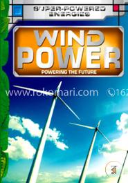 Wind Power: Key stage 3 (Future Power,Future Energy)  image