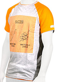 Success Men Cotton T-Shirt (TS101) image