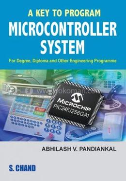 A Key to Program Microcontroller System image