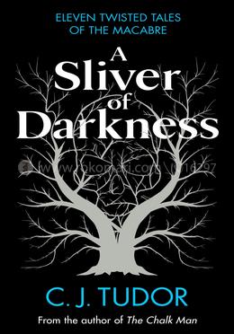 A Sliver of Darkness image