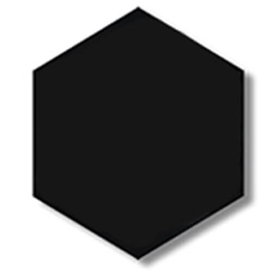 Abhab Hexagon Canvas 12 inch Black image