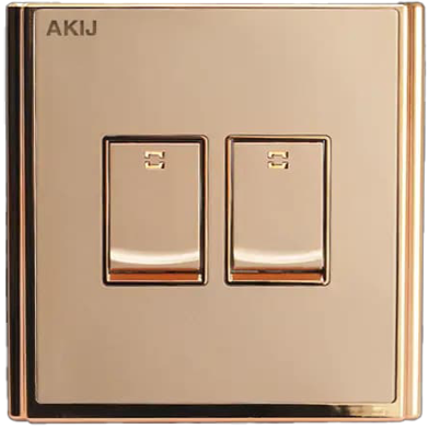 Akij Innova 2 Gang 2 Way Switch image