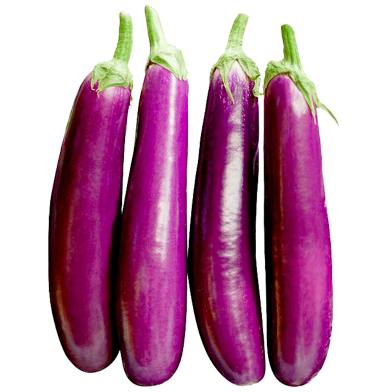 All Season Brinjal Seeds - 0.1gm image