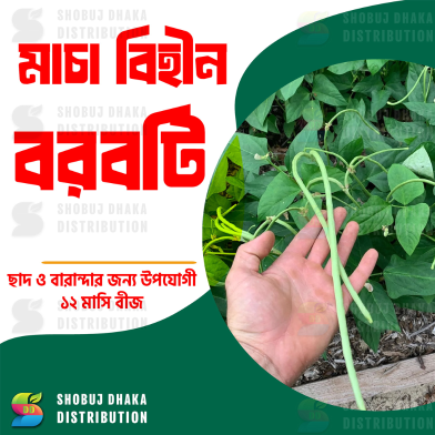 All Season Stickless Borboti Seed 2gm Pack image