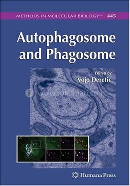 Autophagosome and Phagosome image