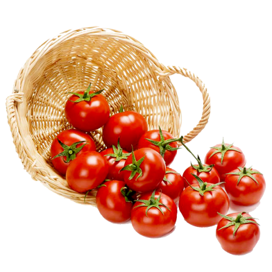 Bari 11 Tomato Hybrid Seeds 20pcs image