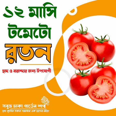 Baromasi Deshi Roton Tomato Beej image