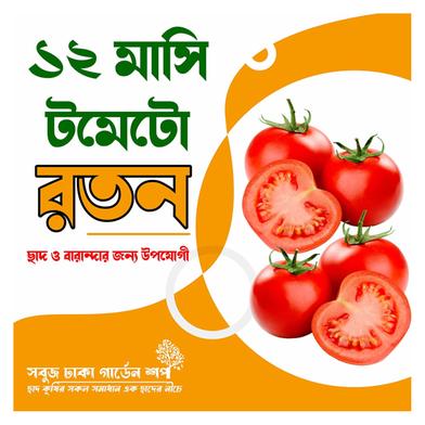 Baromasi Tomato Roton image