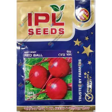 Beet Root Seeds Intact Pack F1 Hybrid (INDIAN) - 15GM image
