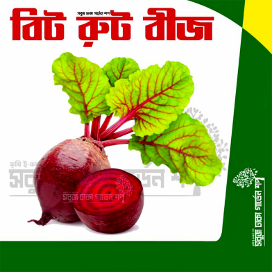 Beet Root Seeds Re-Pack F1 Hybrid (Indian) 0.1gm image