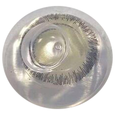 Bella Gray Olive Color Contact Lens image
