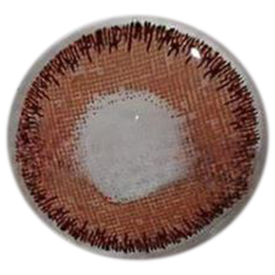 Bella Radiant Brown Color Contact Lens image