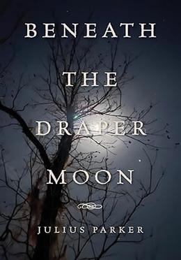 Beneath the Draper Moon image