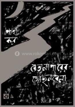 বেতনাপারের জোছনবেলা image