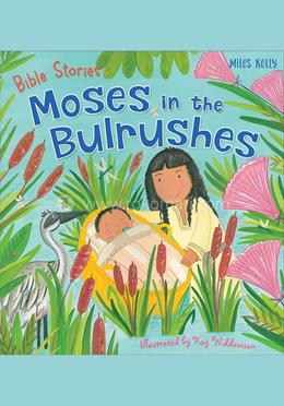 Bible Stories: Moses in the Bulrushes image