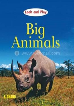 Big Animals (Look and Play)