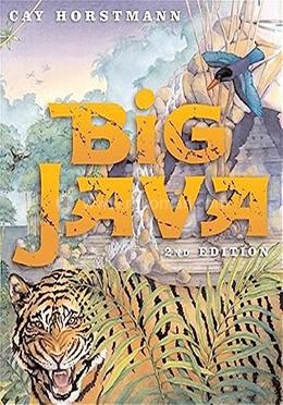 Big Java image