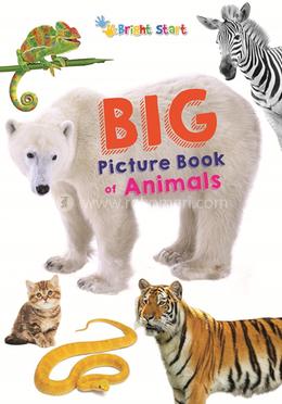 Big Picture Book of Animals image