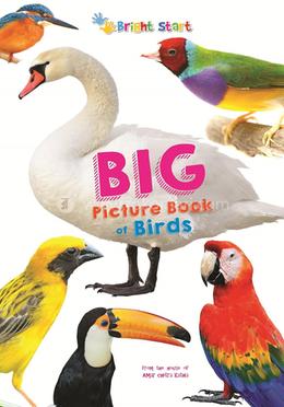 Big Picture Book of Birds image