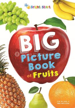 Big Picture Book of Fruits image