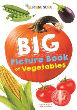 Big Picture Book of Vegetables image