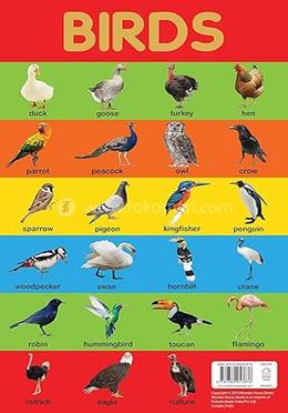 Birds Chart Early Learning Educational Chart For Kids image