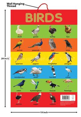 Birds - Early Learning Educational Posters For Children image