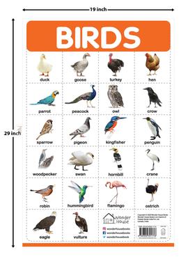 Birds - My First Early Learning Wall Posters image