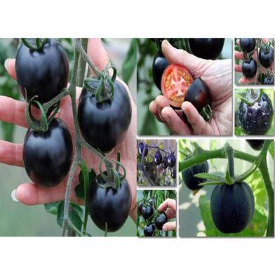 Black Tomato image