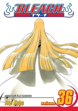 Bleach 36 image