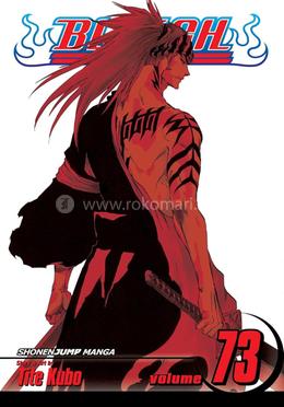 Bleach 73 image