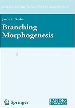 Branching Morphogenesis image