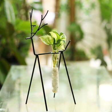 Brikkho Hat Deer Stand with Test Tube and Plants Neon Pothos image