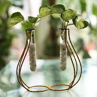 Brikkho Hat Dos Pitcher Shape Metal Stand With Test Tube Manjula pothos x2 image