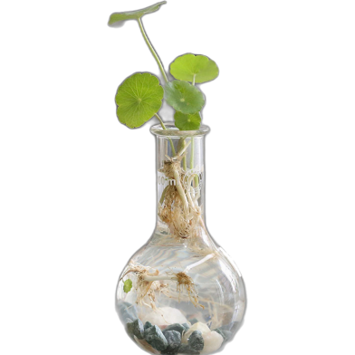 Brikkho Hat RB Flask with coin lily image