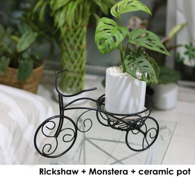 Brikkho Hat Rickshaw Planter Monstera With Ceramic Pot image