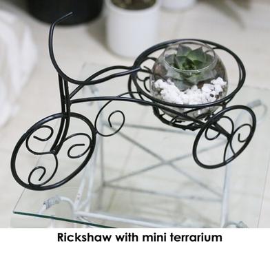 Brikkho Hat Rickshaw Planter Terrarium image