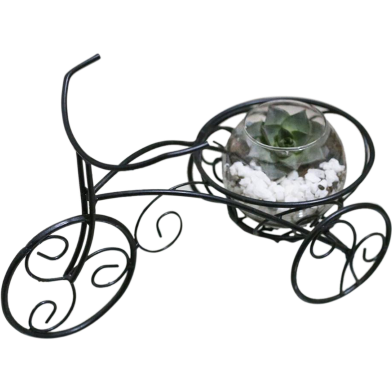 Brikkho Hat Rickshaw Planter Terrarium image